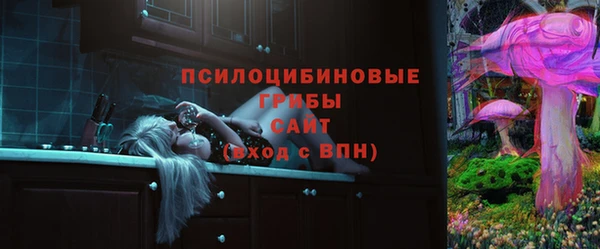 индика Алексин