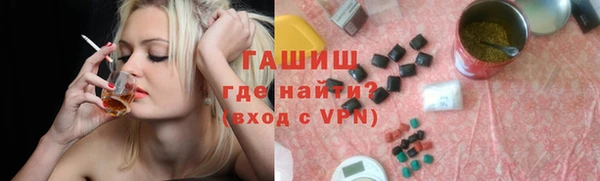 индика Алексин