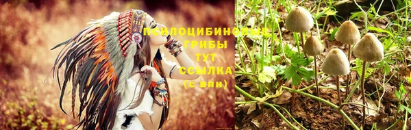наркотики Алексеевка