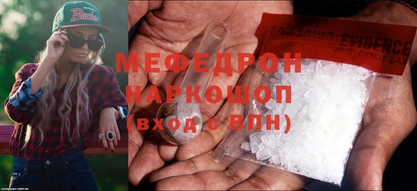 индика Алексин