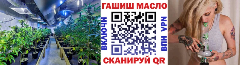 купить Николаевск OMG зеркало Дистиллят ТГК Wax